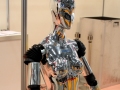 Фотогалерея: Международная выставка роботов 2009