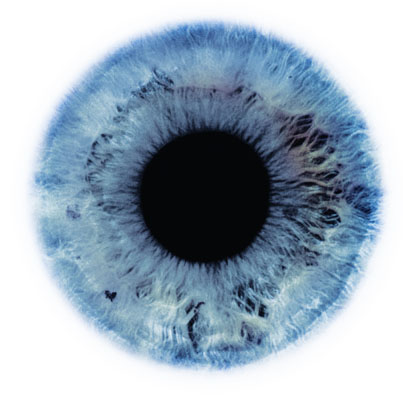 Прорыв в исследовании стволовых клеток поможет выращивать человеческие глаза