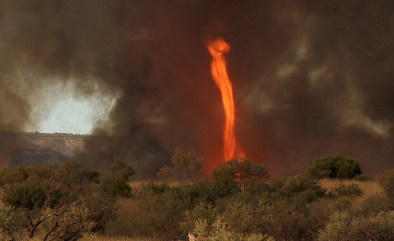 Огненный торнадо в Австралии: фото и видео.
