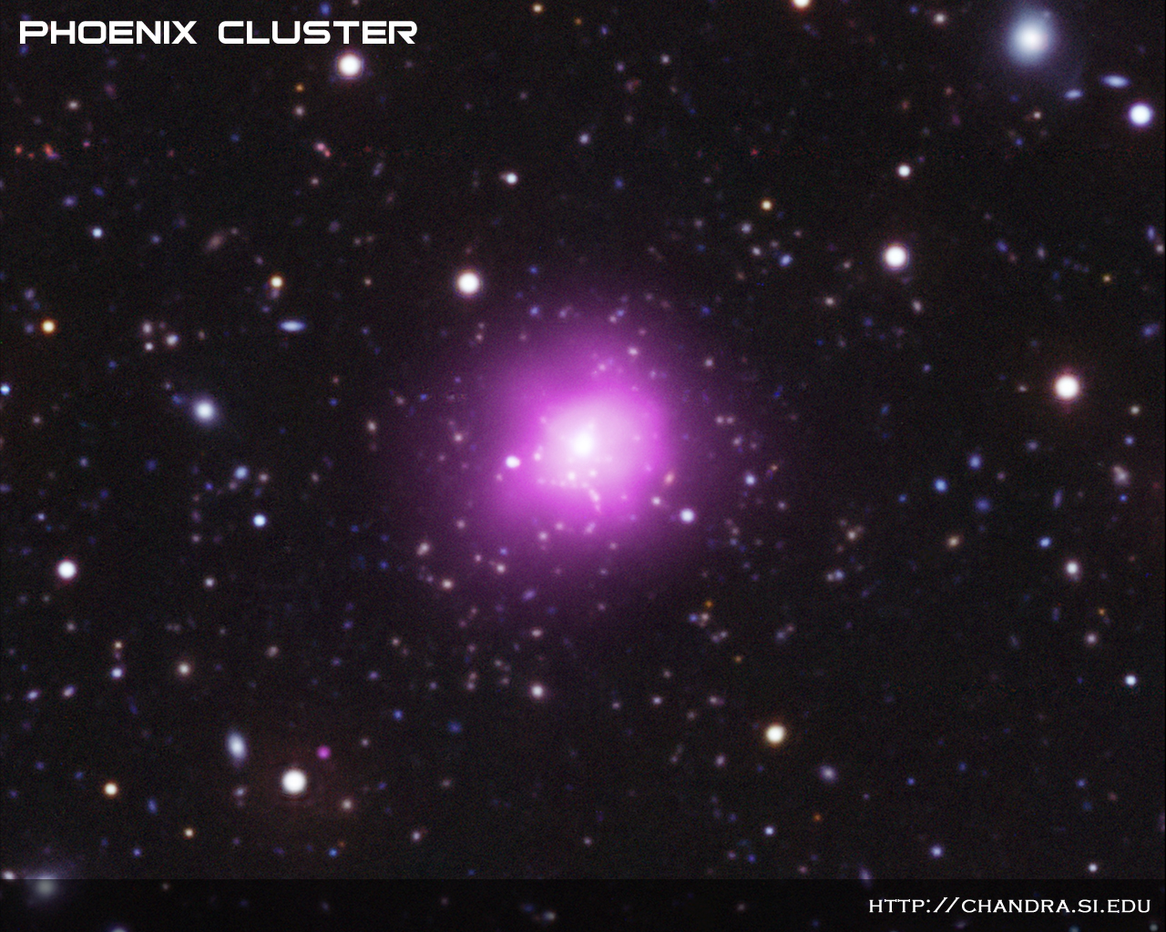 Галактический кластер Феникс стал рекордсменом по уровню формирования звезд