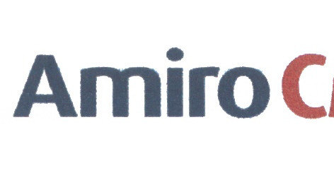 Быстрый запуск вашего интернет-магазина на платформе Amiro.CMS