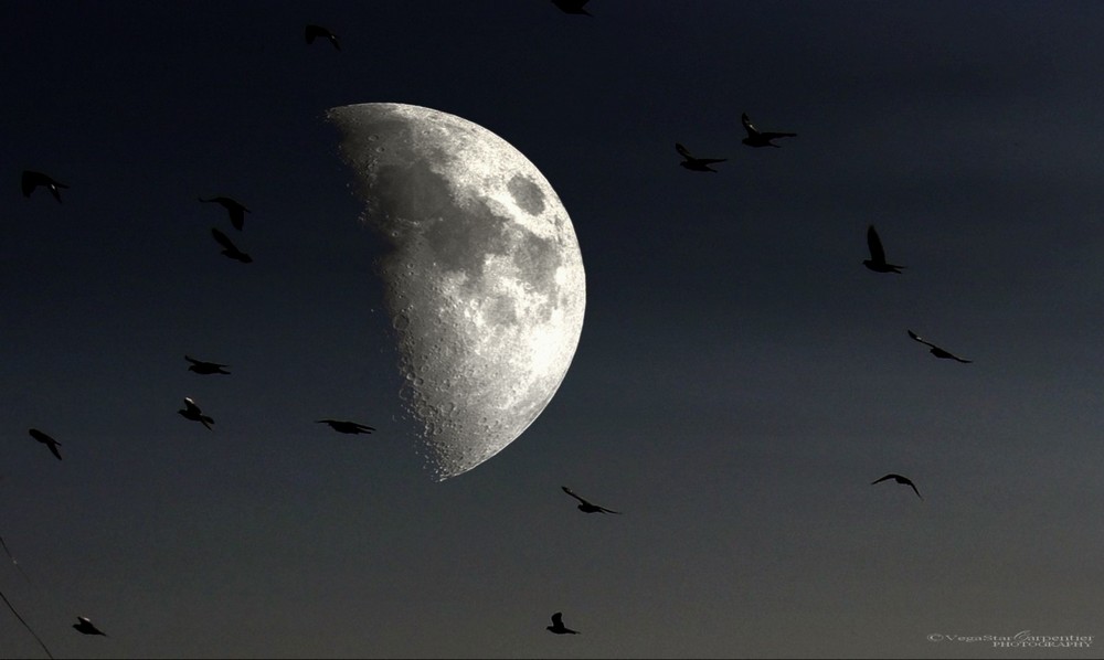 Фото: великолепная Луна и удивительное оптическое явление 
