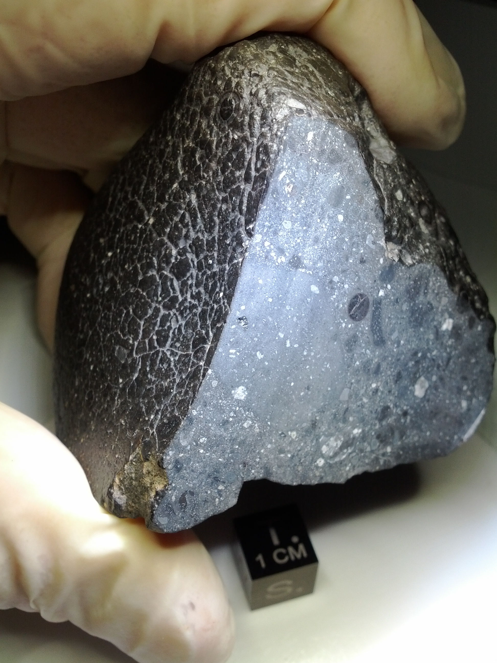 Марсианский метеорит "Черная красавица" о многом рассказал ученым