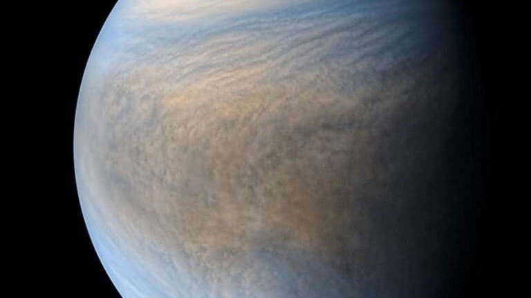 Венера могла бы быть обитаемой, но Юпитер всё испортил