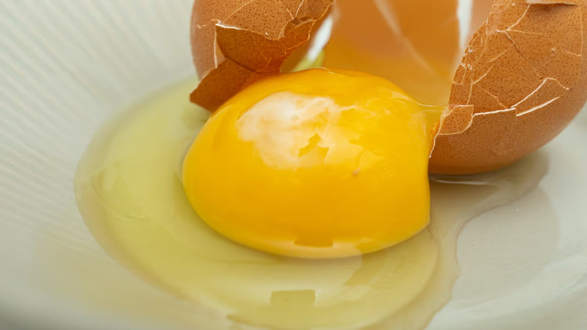 Генетически модифицированные яйца могут положить конец аллергии