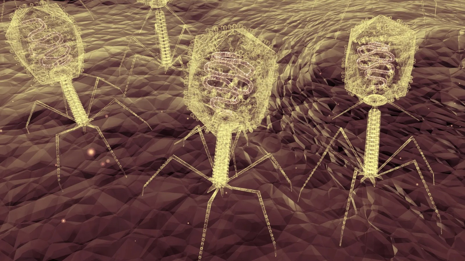 Вирусы занимаются доставкой CRISPR бактериям