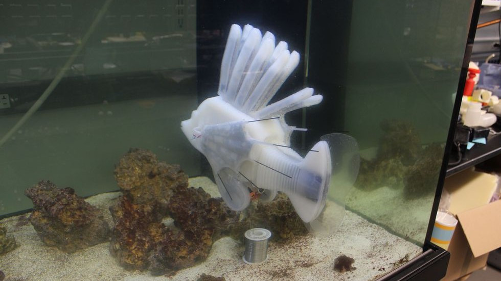Роботизированная рыба питается от жидкой батареи