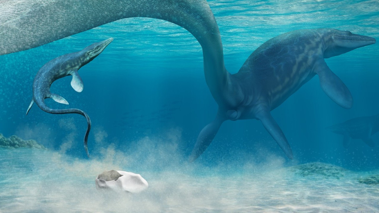 Гигантская окаменелость, найденная в Антарктиде, оказалась яйцом мозазавра