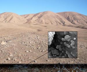 Микробный оазис найден в пустыне Атакама