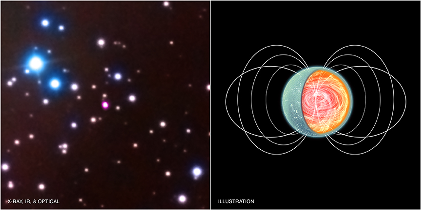 Где спрятались экзотические нейтронные звезды?