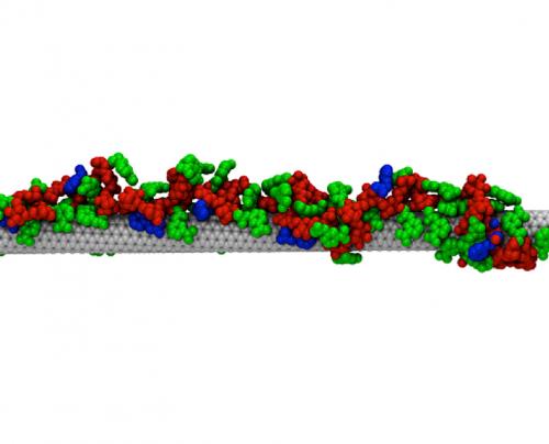 Инженеры синтезировали антитела с углеродными нанотрубками