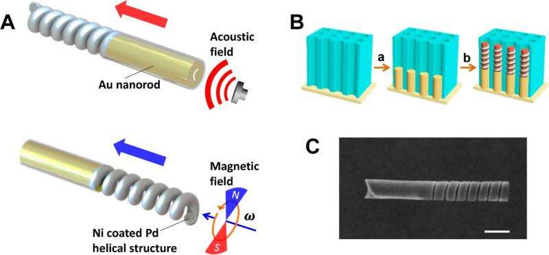 Бестопливный наномотор питается от ультразвуковых и магнитных полей