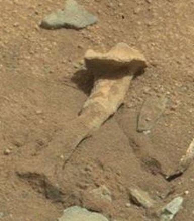 Кости динозавров на Марсе и другие объекты