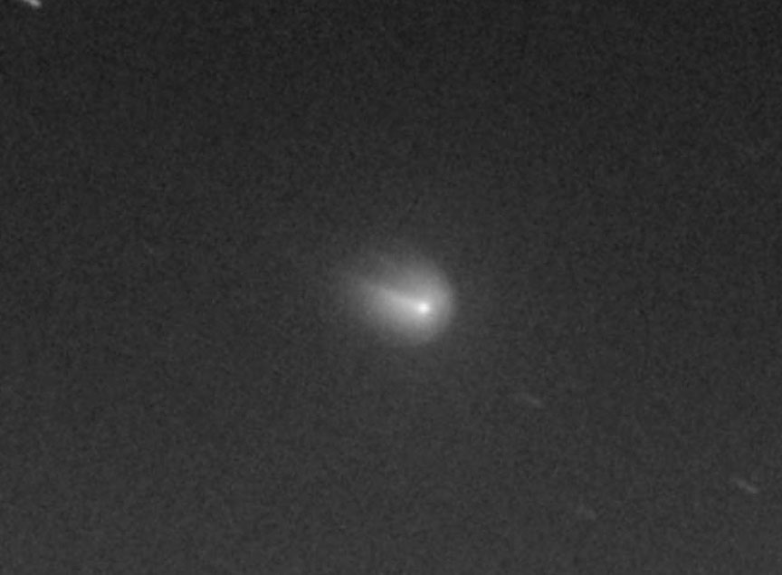 Бельгиец сфотографировал комету Финлея