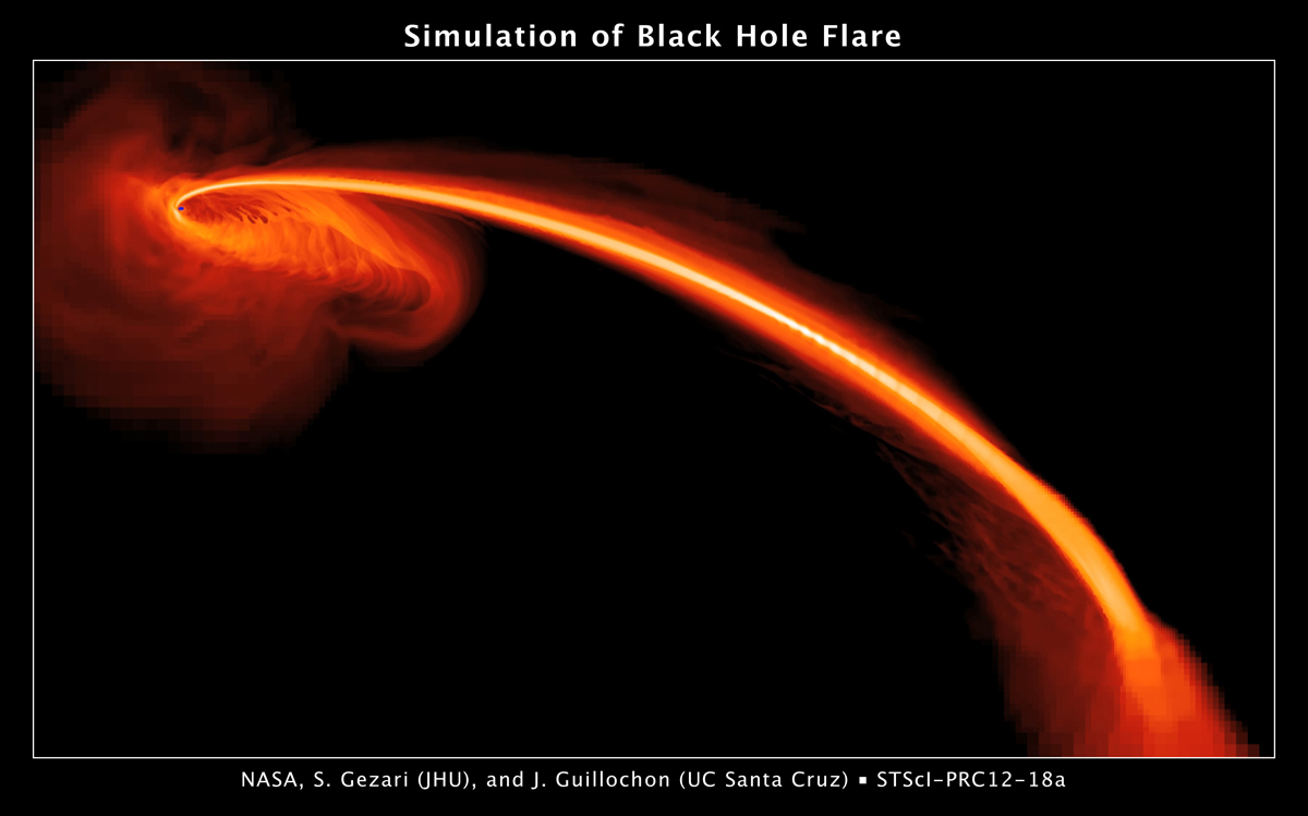 Компьютерная симуляция поедания звезды черной дырой