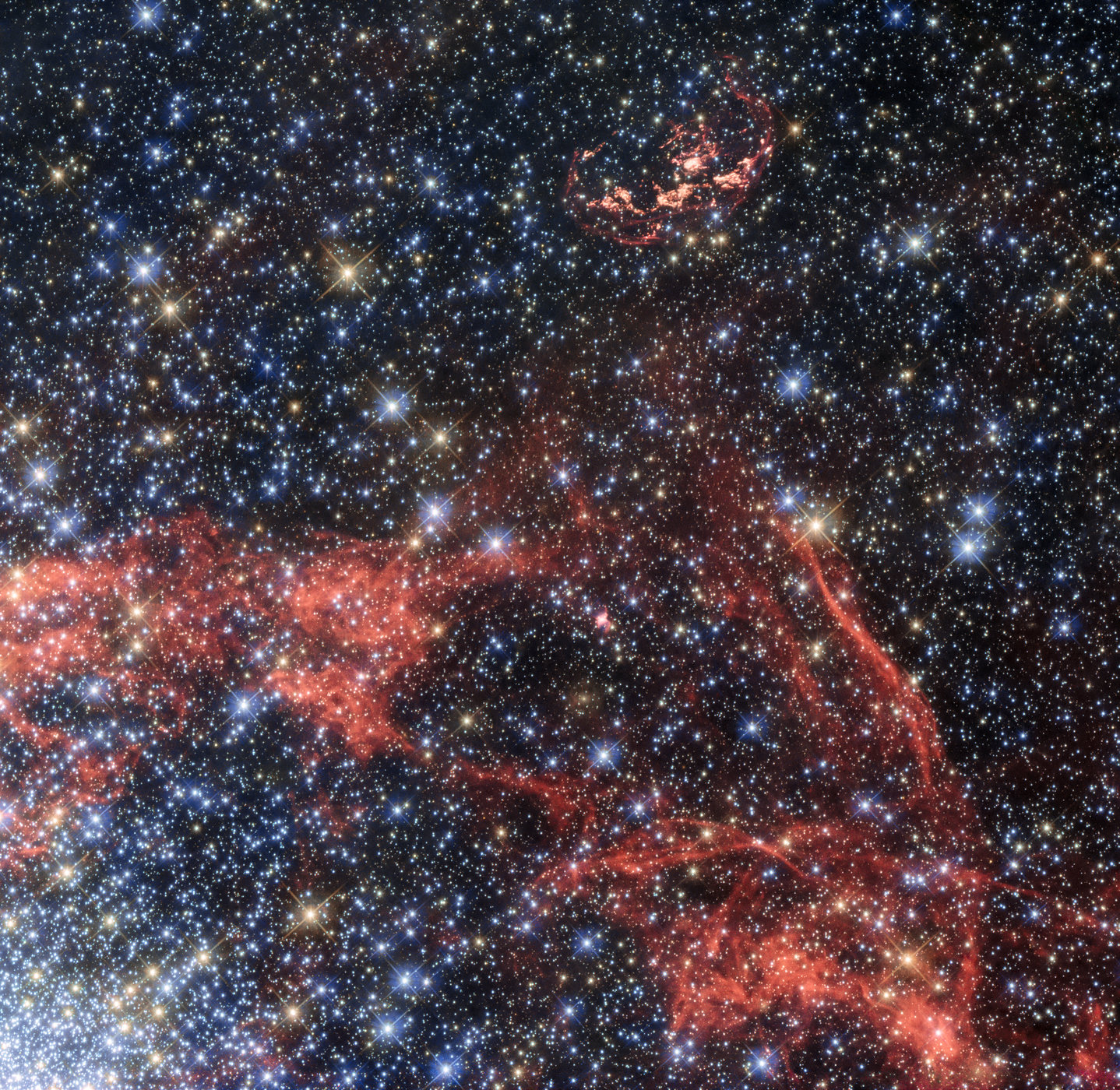 На фото обнаружен компаньон сверхновой
