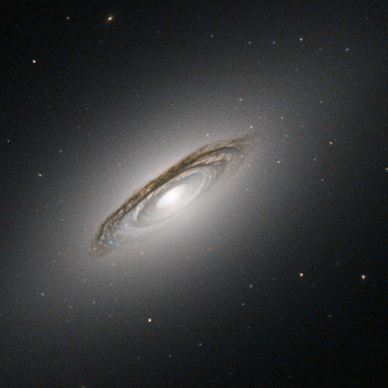 Яркая галактика из группы телескопических галактик