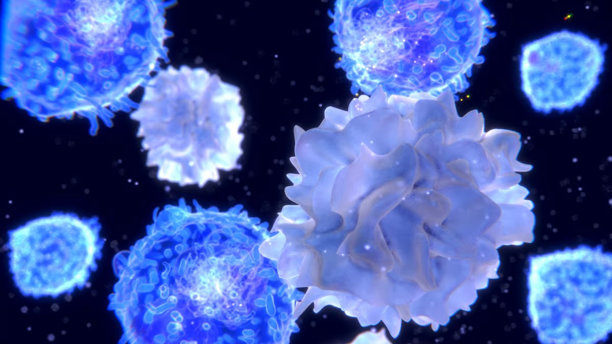 Инженерный белок успокаивает иммунные клетки для предотвращения аутоиммунных заболеваний