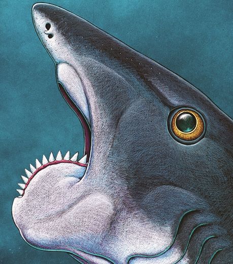 Ученые открыли секрет доисторических "Акул"