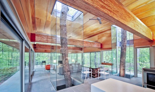 Построен дом с декорациями из живого дерева 