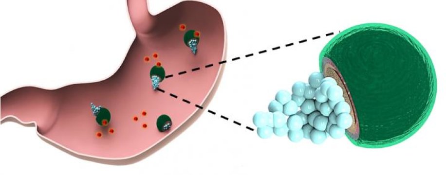 Нанотехнологии лечат желудочные инфекции
