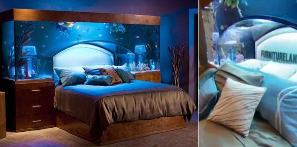 Кровать-аквариум за 11 500 долларов