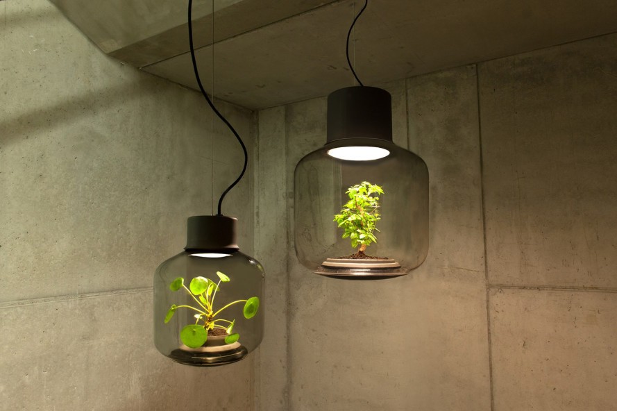 Лампа, которая светит и выращивает растения