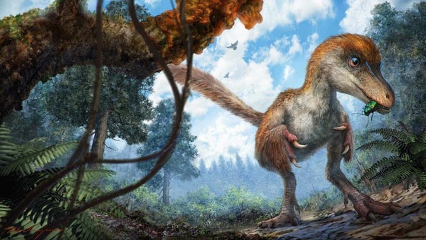 Пересмотрена родословная динозавров