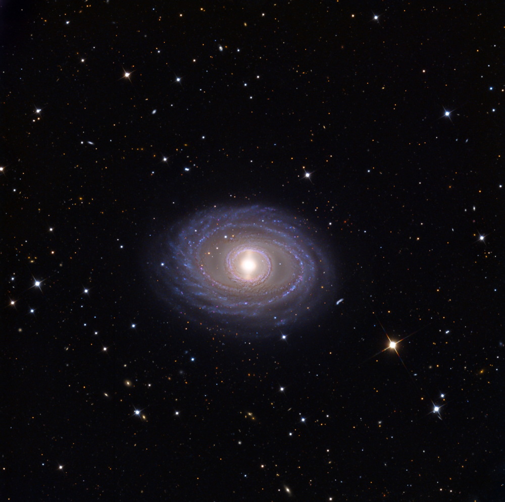 Кадр Дня: галактика  NGC 1398