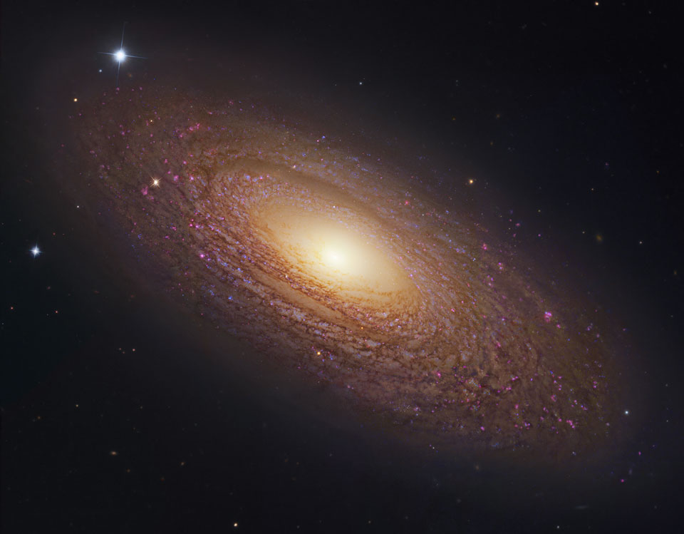 Соседняя спиральная галактика NGC 2841 