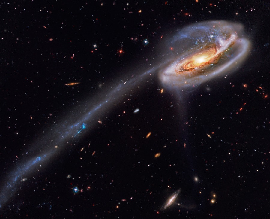 Кадр Дня: пекулярная галактика "Головастик"
