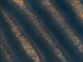 Симметричные дюны внутри марсианского кратера
