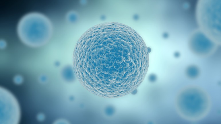 Синтетическая клеточная мембрана - ещё один шаг на пути к созданию полностью искусственной формы жизни