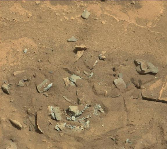 "Бедренная кость" на Марсе на самом деле еще один камень