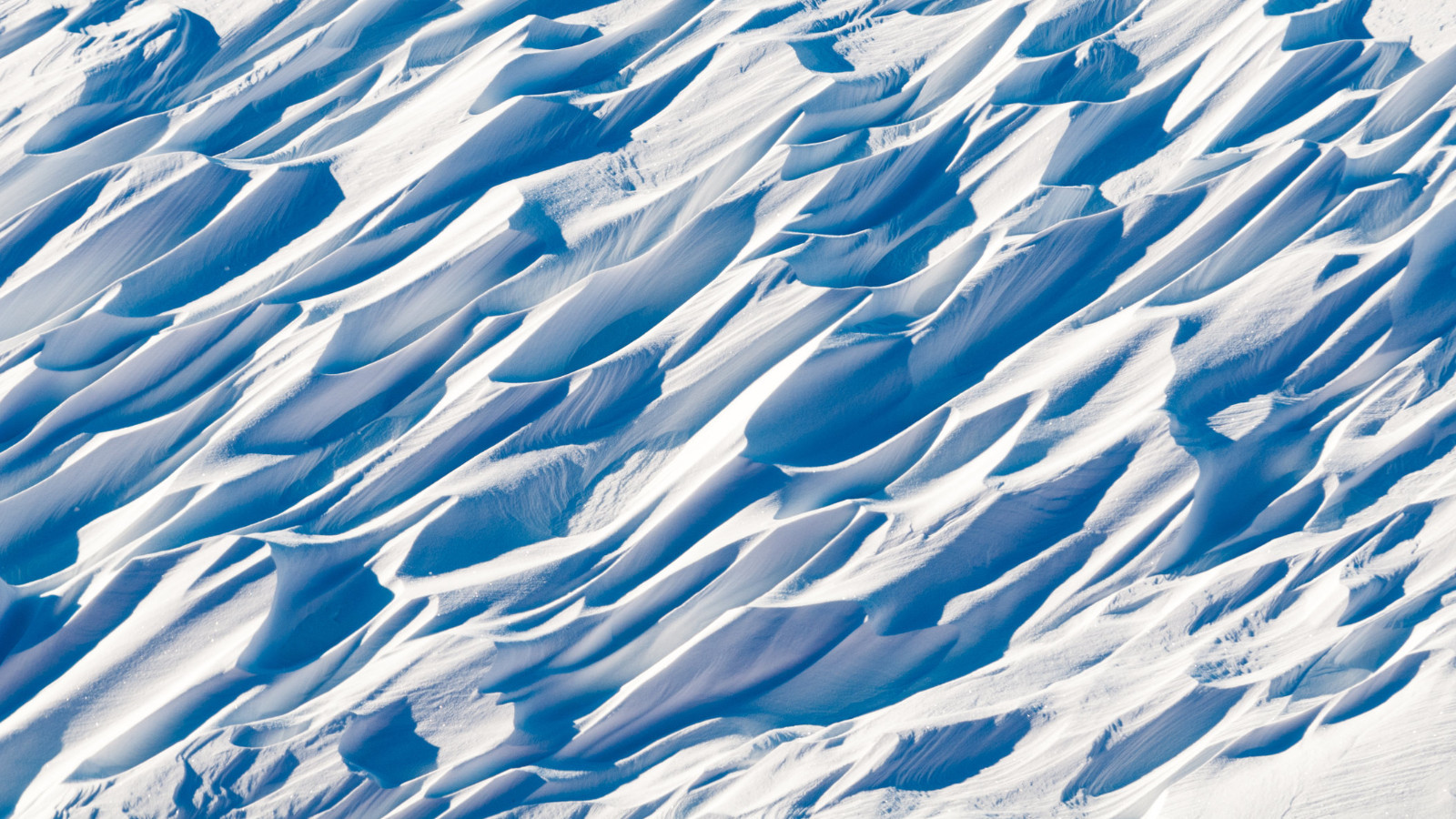 Ученые просверлили самую глубокую скважину в Антарктиде