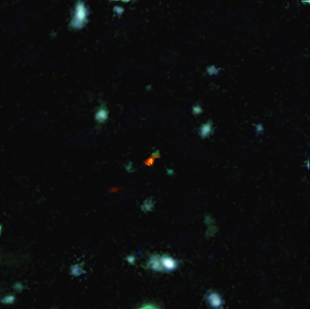 Ранняя галактика на астрофото
