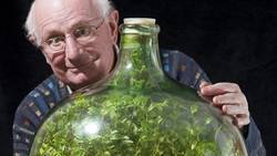 Пенсионер создал сад в герметичной бутылке