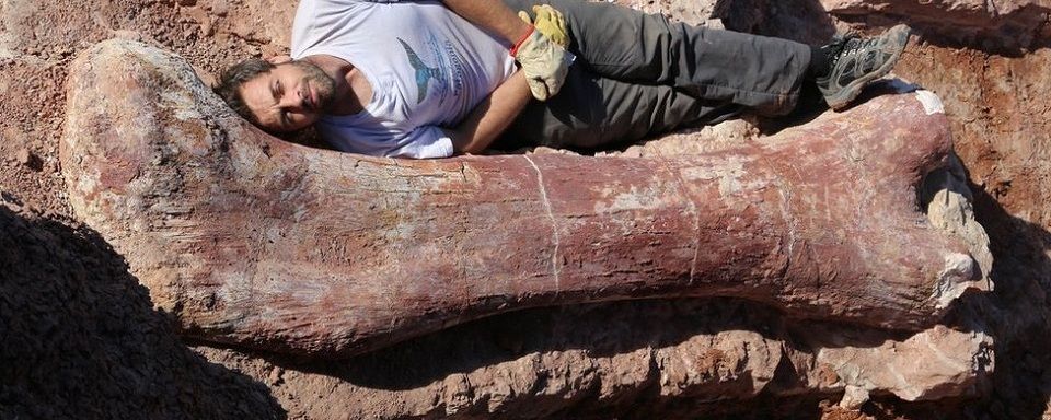 В Аргентине обнаружили самого большого в мире динозавра