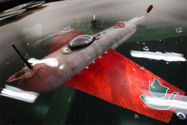 Рыба-робот скользит по воде, собирая данные