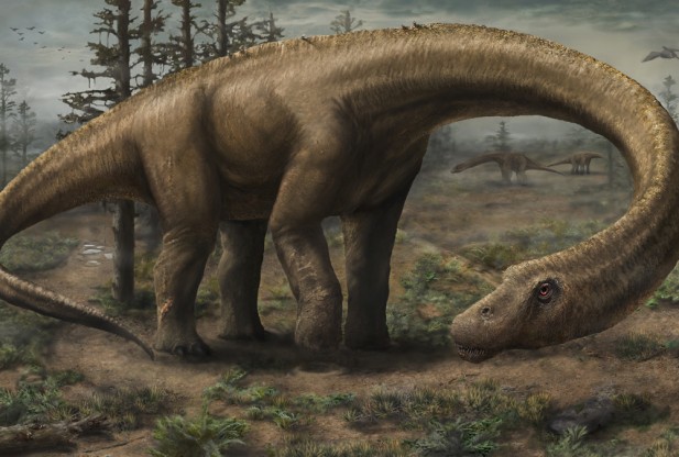 Массивный новый вид титанозавра обнаружен в Аргентине
