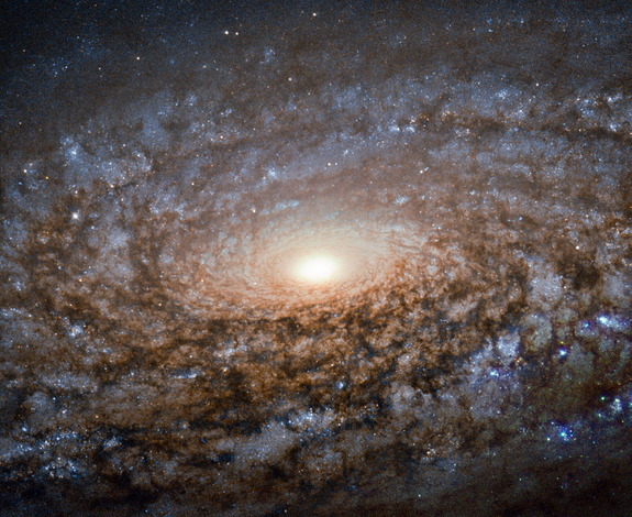 Кадр Дня: галактика NGC 3521
