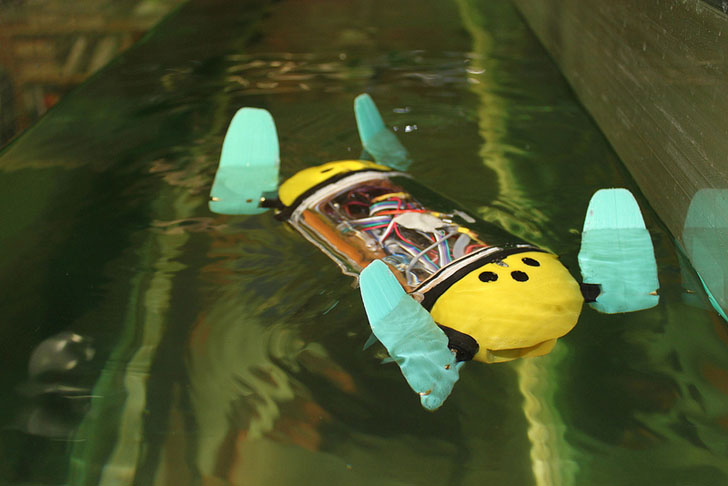 Робот-черепаха помогает исследовать затонувшие корабли