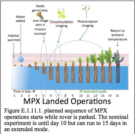 Эксперимент по выращиванию растений на Марсе состоится в 2021 году