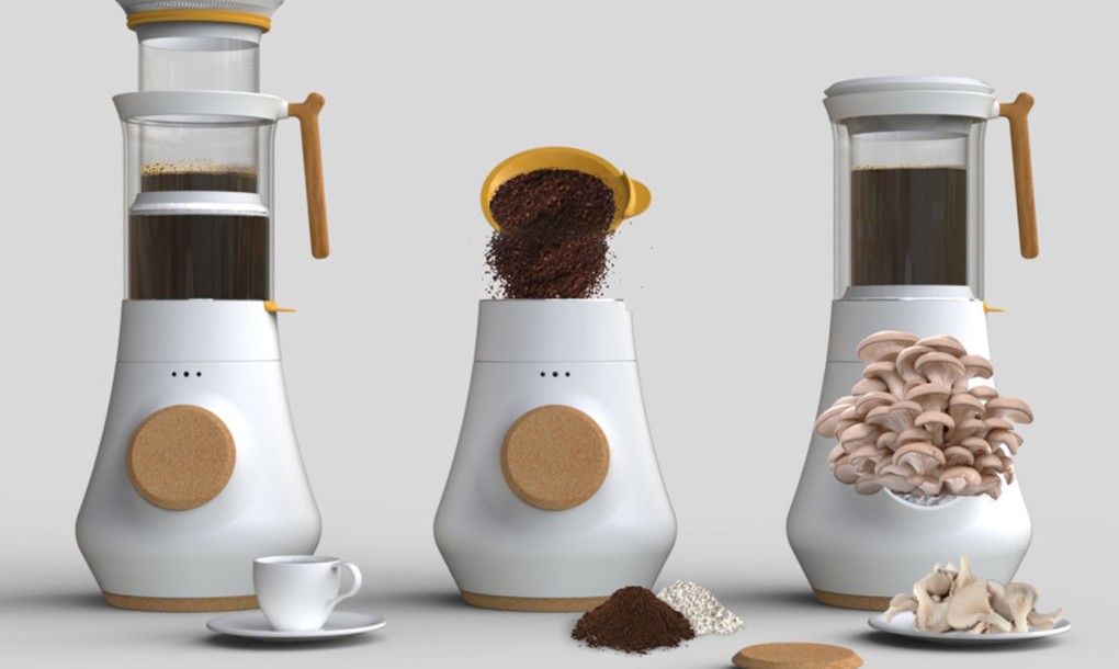 Кофе-машина может выращивать грибы