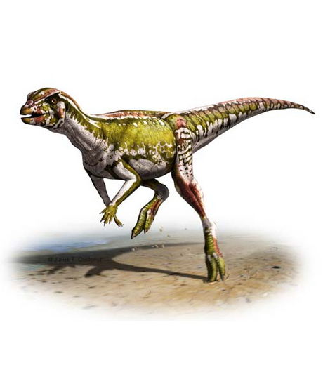 Открыт самый маленький вид динозавра