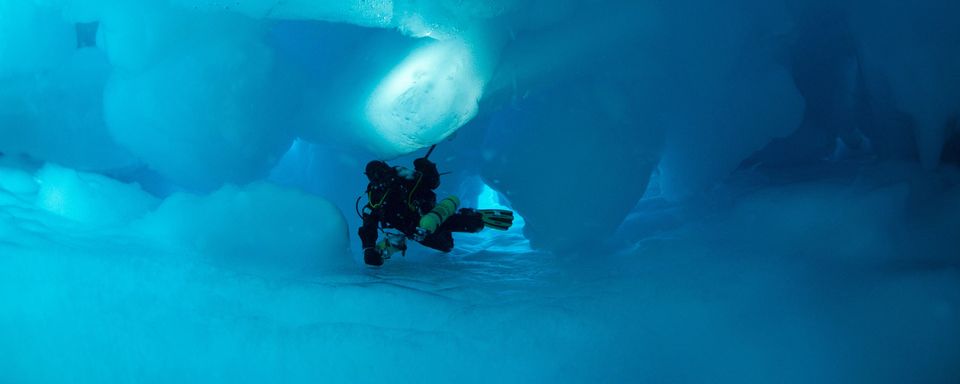 Экспедиция выяснит, что скрывается подо льдами Гренландии
