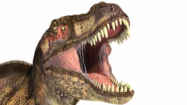 T-Rex обладал самой мощной силой укуса