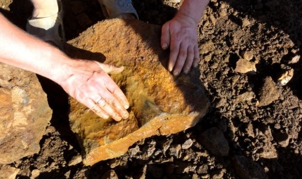 Останки плиозавра были обнаружены в России