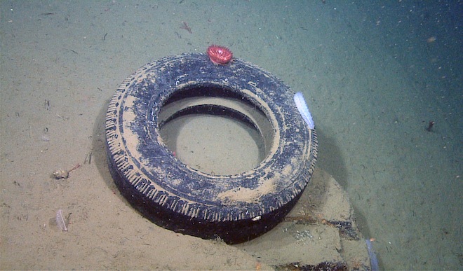Что можно найти на дне океана?
