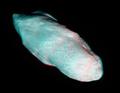 Белый кит: Cпутник Сатурна